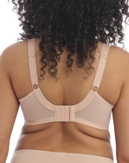 Sahara back