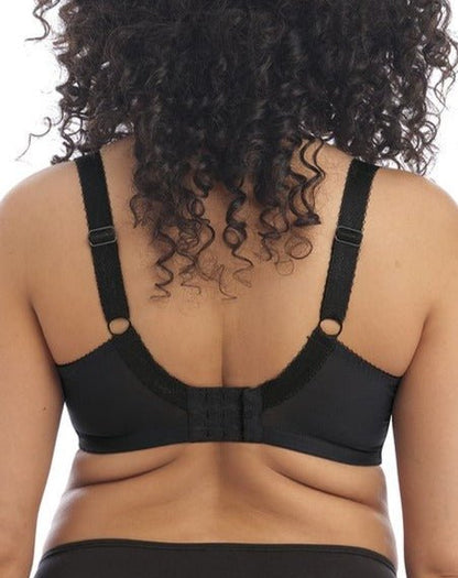 Black back